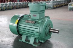 粉塵環(huán)境應該如何選擇粉塵防爆電機型號？