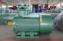 氣體防爆電機ExdIIBT4Gb的是什么意思？