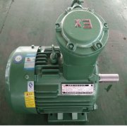 粉塵型防爆電機參數(shù)詳解